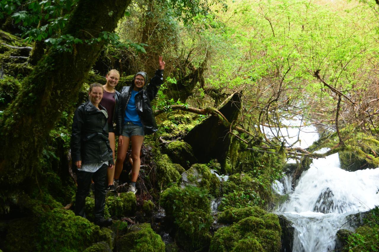 Rio Libre Pucon Party Hostel Dış mekan fotoğraf